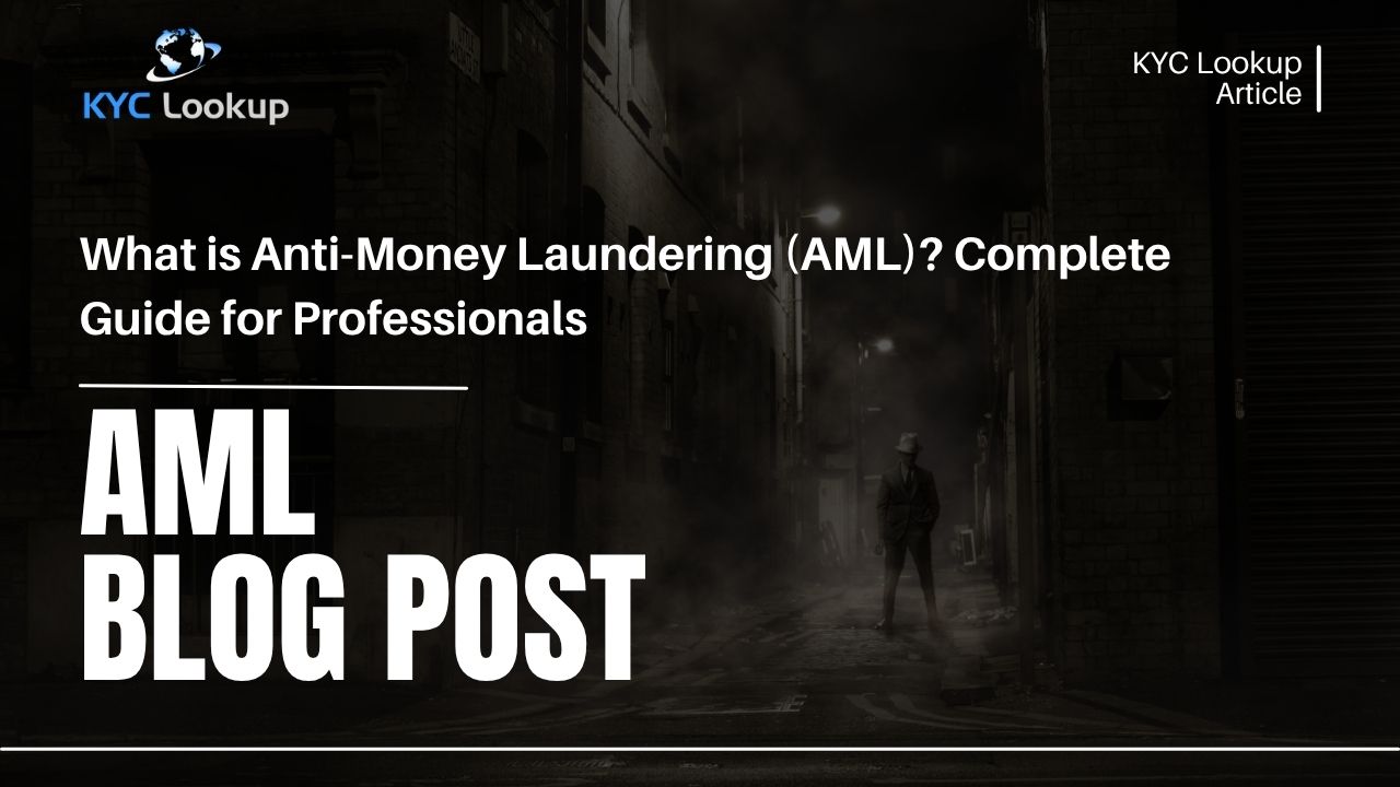 What is Anti-Money Laundering (AML) Complete Guide for Professionals - KYC Lookup